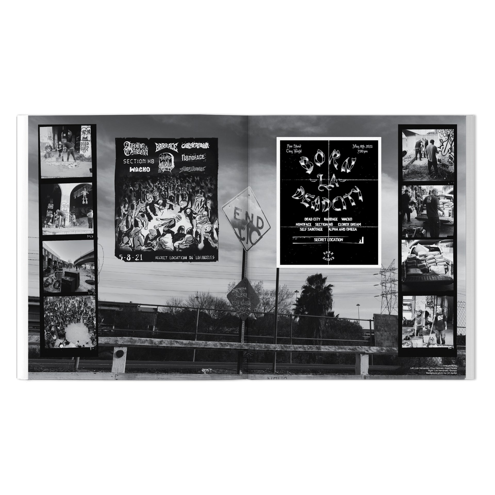 Dead City Punx: Dead City Book