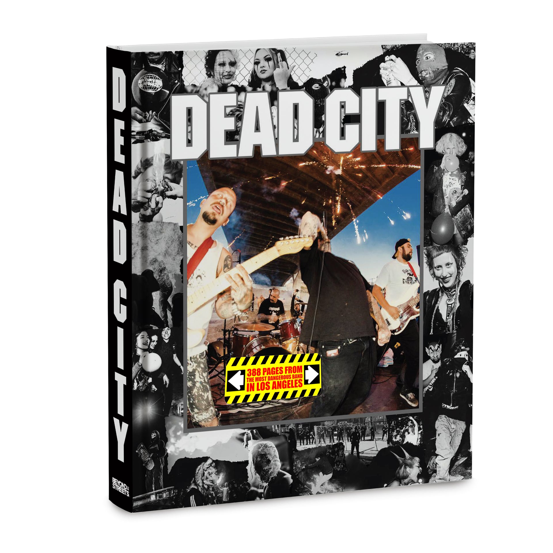 Dead City Punx: Dead City Book