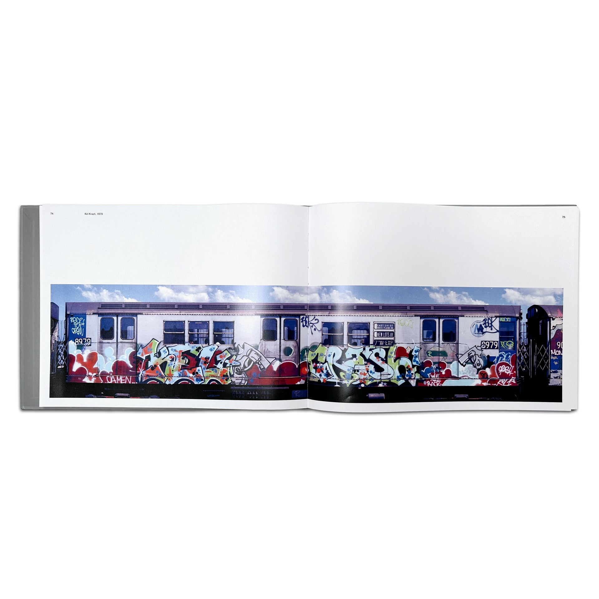 Henry Chalfant: Art Vs. Transit Book