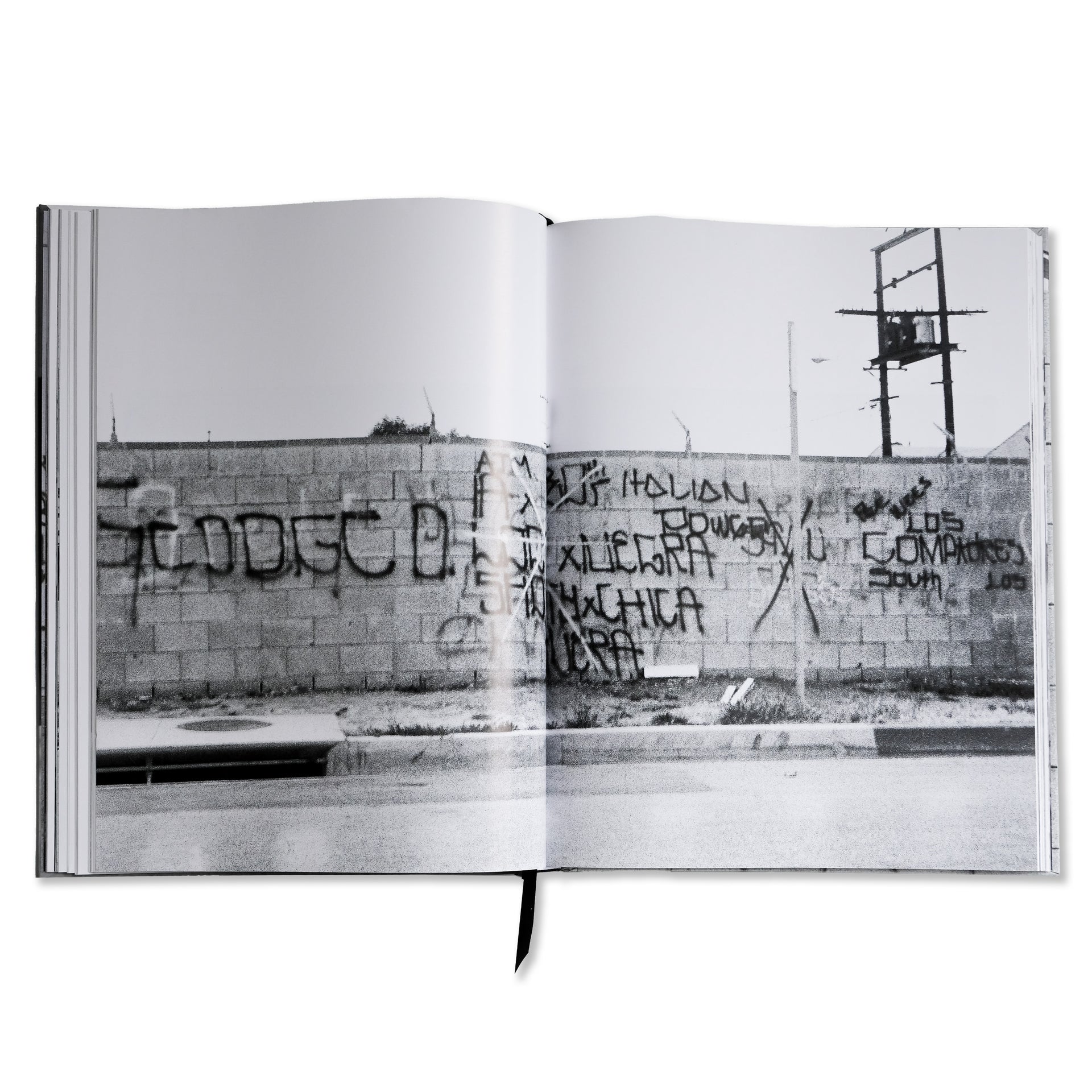 Howard Gribble: Roll Calls: The OG Los Angeles Drive-By Book