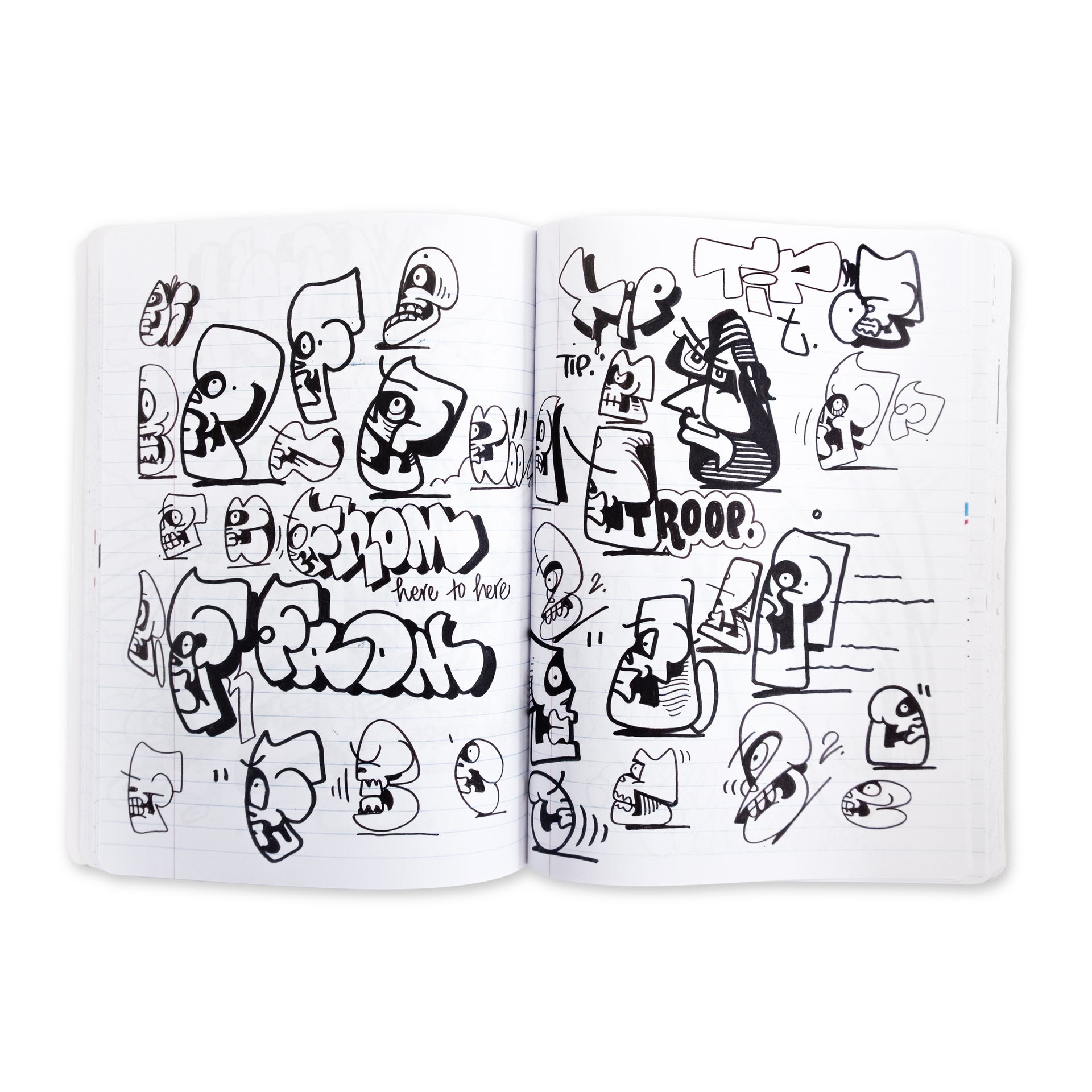 RIME: DIRECTION DIARY VOLUME 1 Book