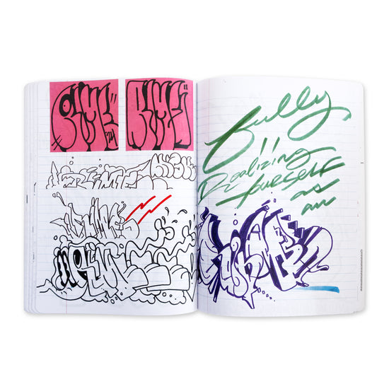 RIME: DIRECTION DIARY VOLUME 1 Book