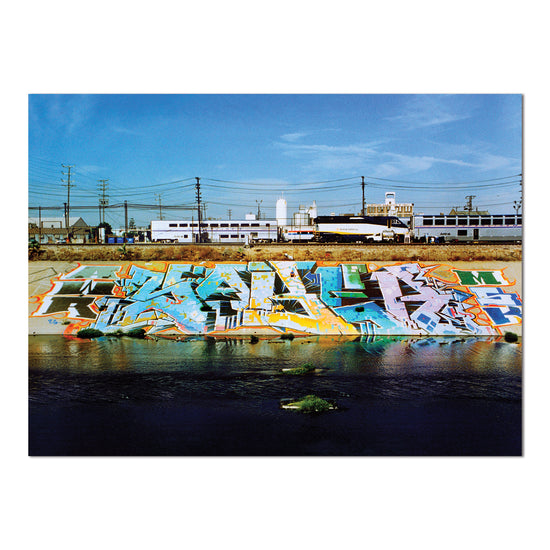 SABER: L.A. River Puzzle