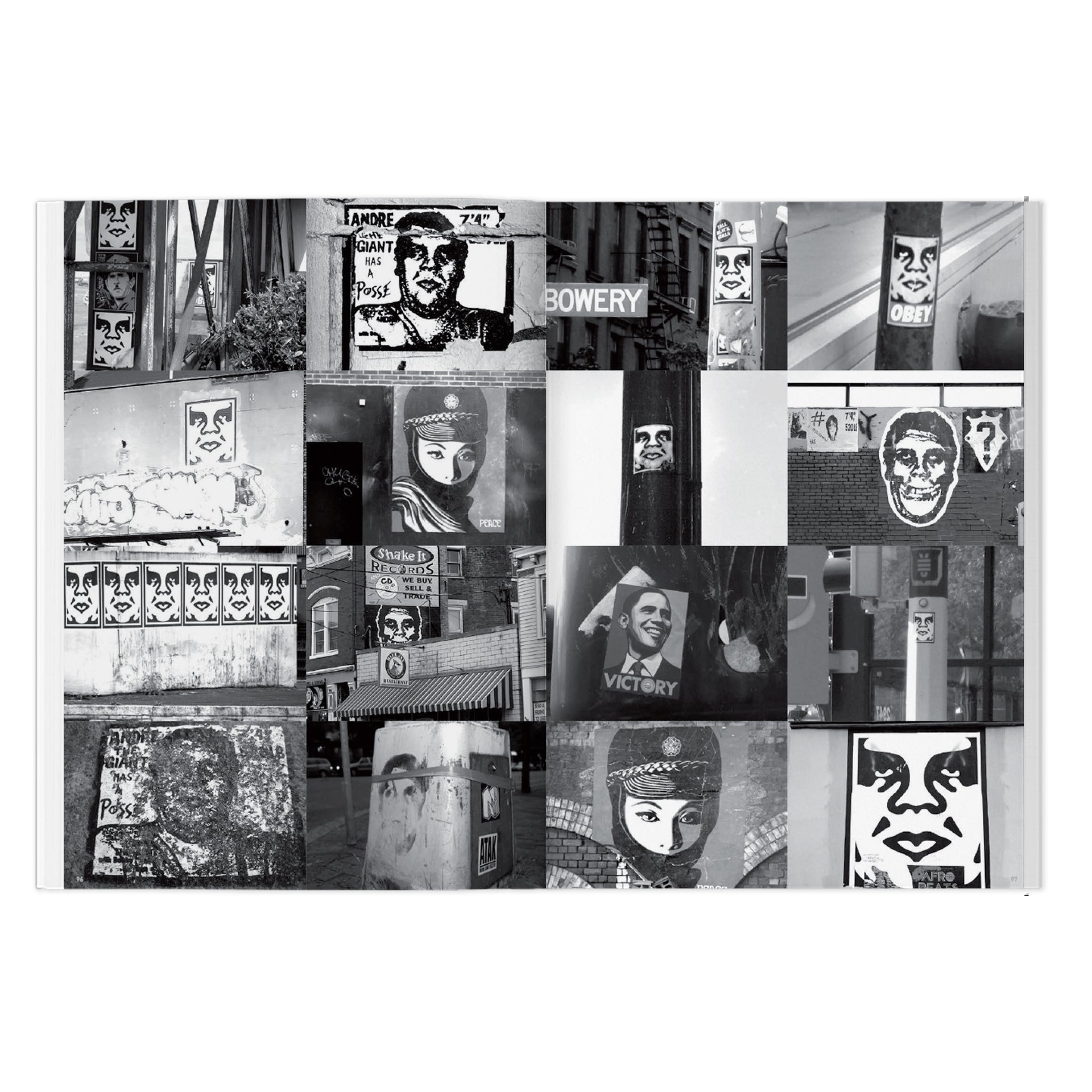 Shepard Fairey: Weathered Book
