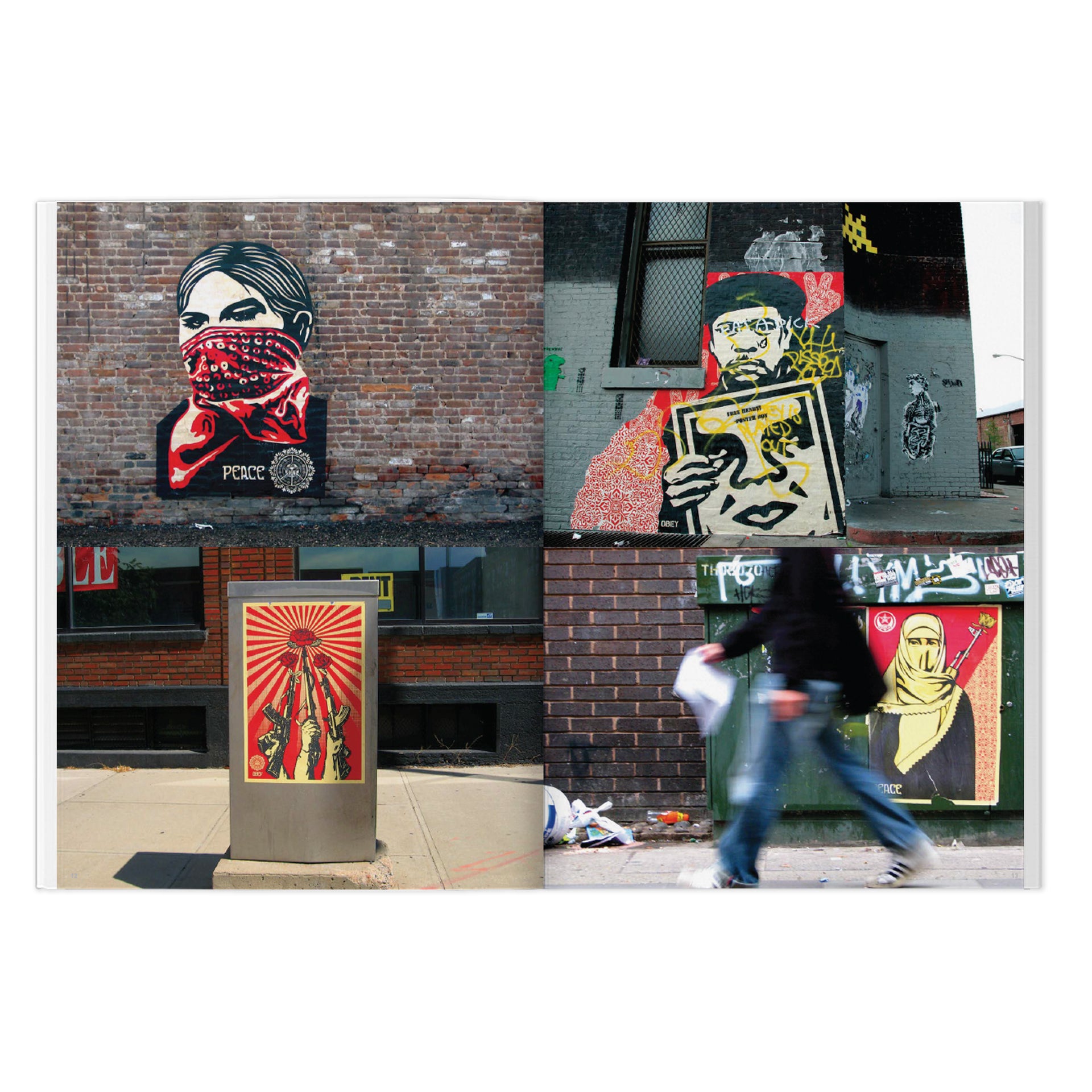 Shepard Fairey: Weathered Book