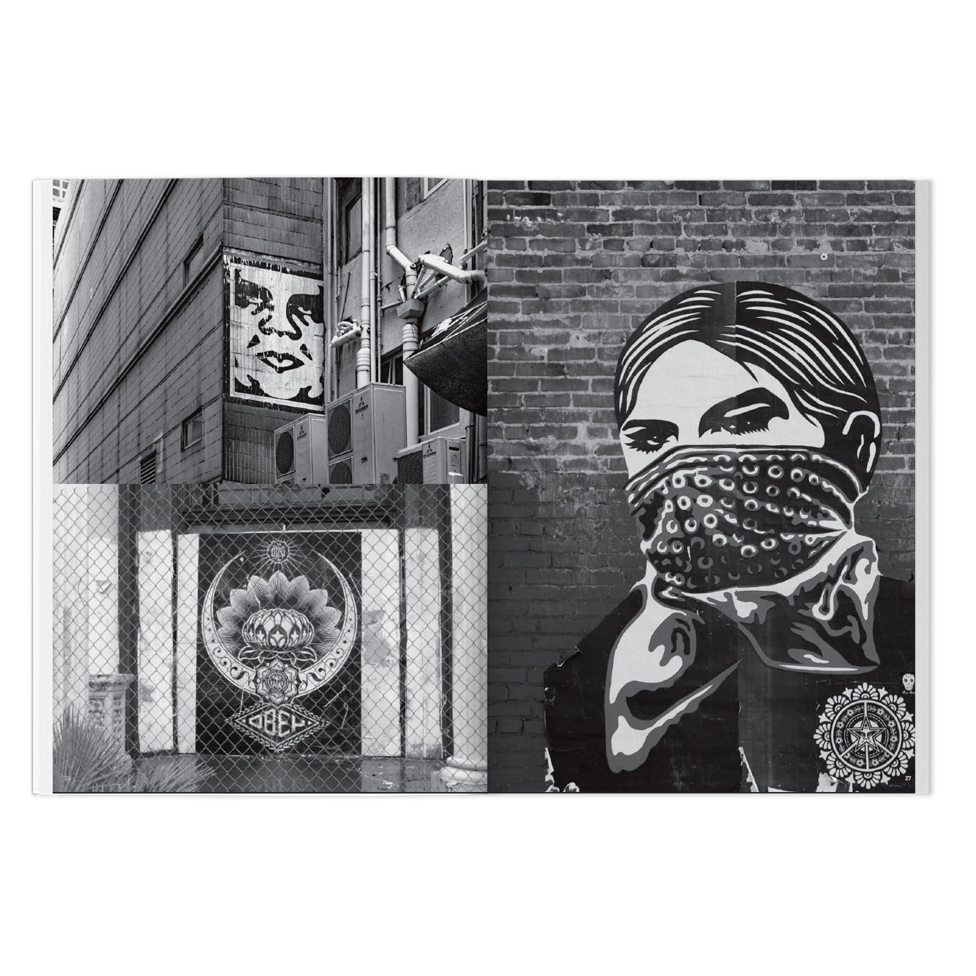 Shepard Fairey: Weathered Book