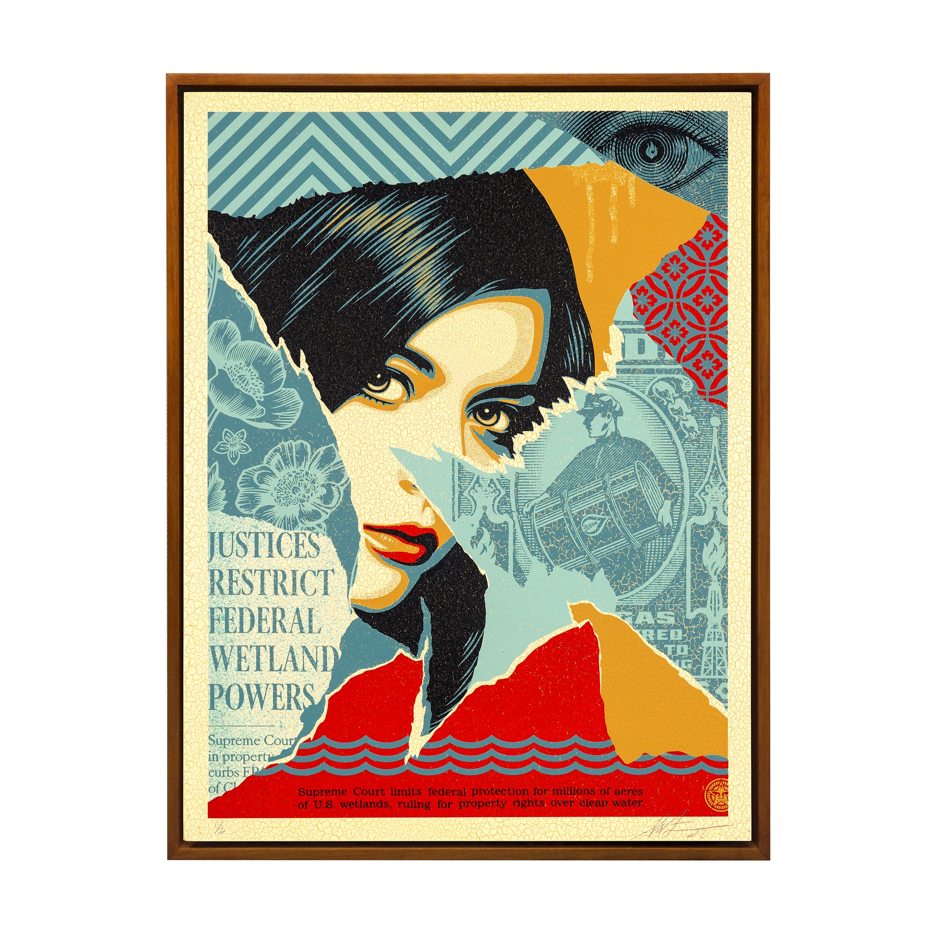 Shepard Fairey: Wetland Powers 4/6, 2023